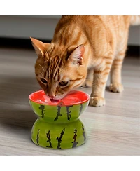 P.t. Supply Co. Watermelon Shaped Stoneware Elevated Pet Bowl, Raised Ceramic Food & Water Dish for Dogs and Cats