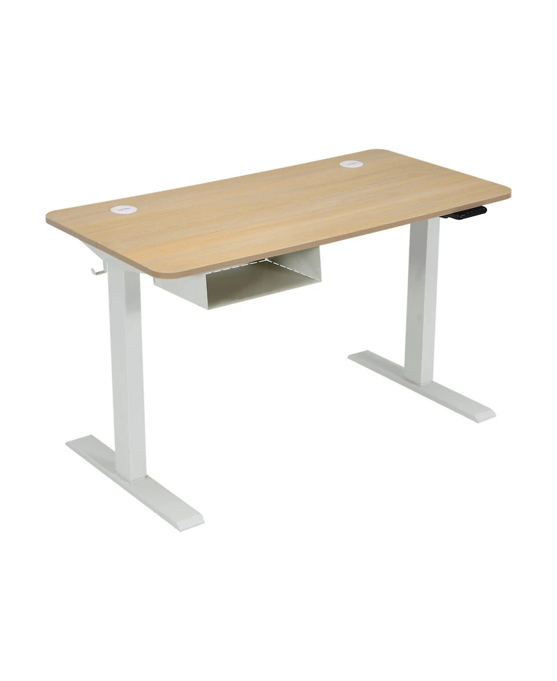 48-Inch Electric Standing Adjustable Desk with Control Panel and Usb Port