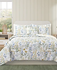 J by Queen Bold Tallulah 3-Pc. Quilt Set, Full/Queen