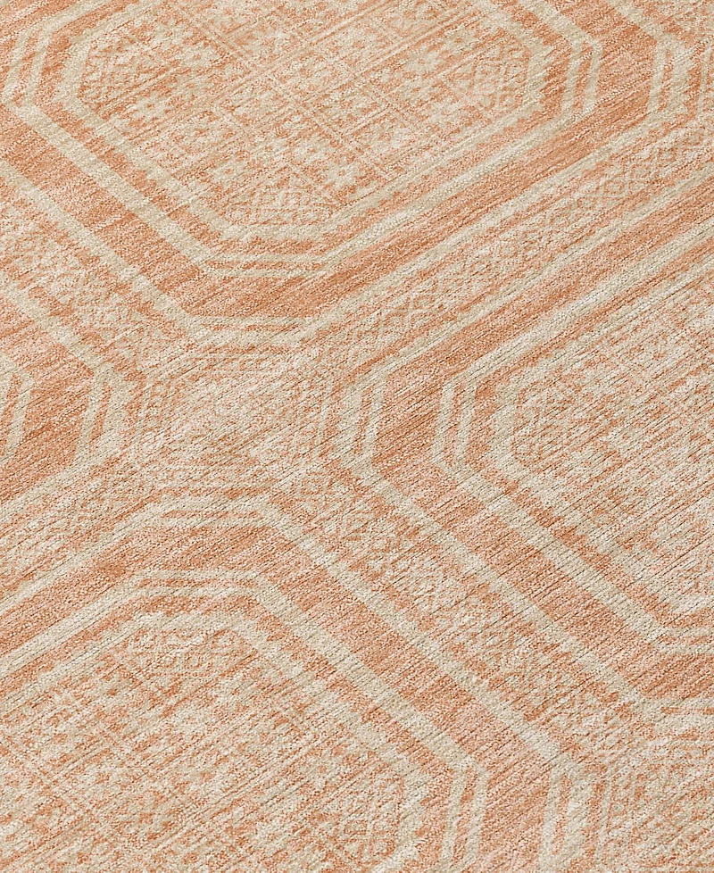 Addison Chantille Machine Washable ACN1460 8'x10' Area Rug