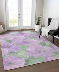 Addison Chantille Machine Washable ACN1543 9'x12' Area Rug