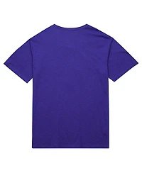 Mitchell & Ness Men's Purple Phoenix Suns Hardwood Classics Felt Applique Slub T-Shirt