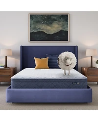 Serta Dream Haven 10" Plush Pillow Top Mattress in a Box