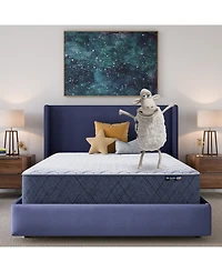 Serta Dream Haven 12" Firm Tight Top Mattress in a Box