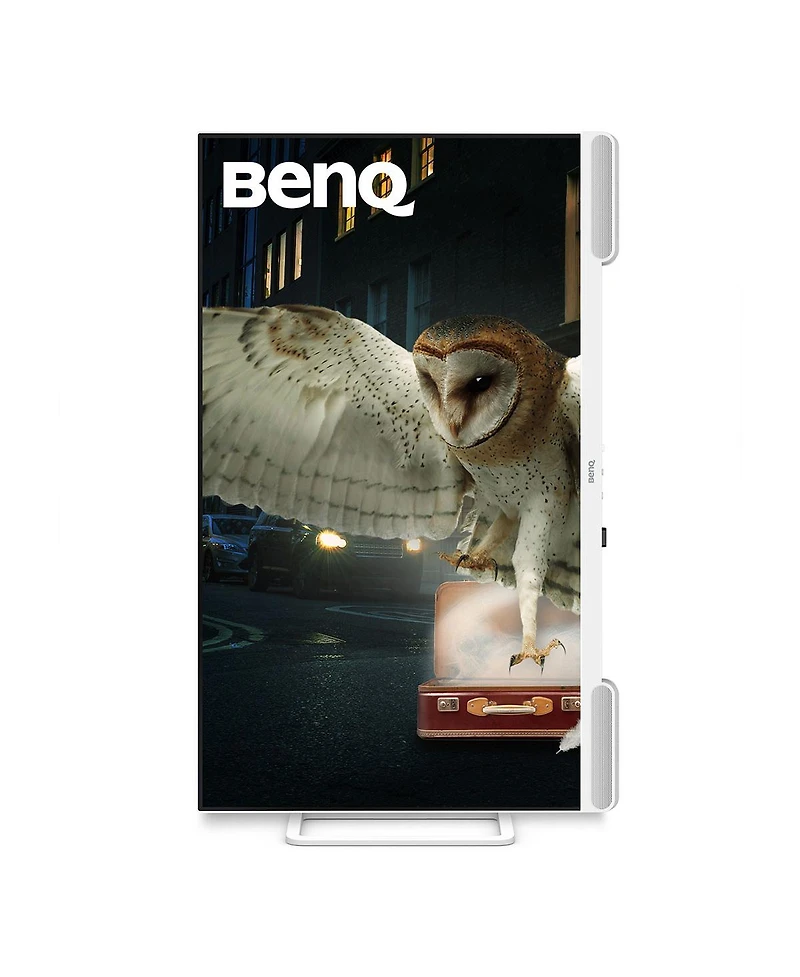 BenQ EW3290U 31.5" 16:9 4K Ultra Hd Ips Led Hdr Monitor, White