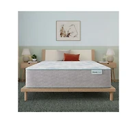 Beautysleep Bashful Lullaby 13.75" Plush Tight Top Mattress