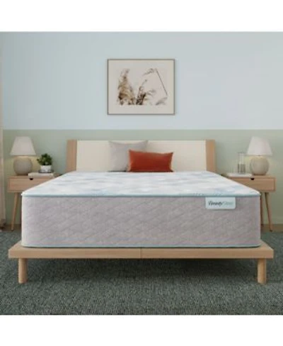 Beautysleep Bashful Lullaby 13.75 Plush Tight Top Mattress Collection
