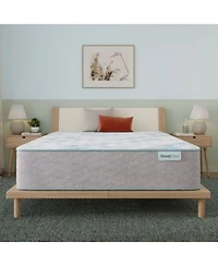 Beautysleep Bashful Lullaby 13.75 Plush Tight Top Mattress Collection