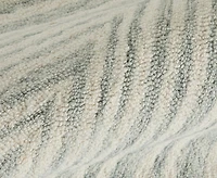 Feizy Wallace 8A41F 2'x3' Area Rug