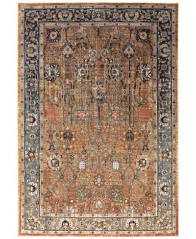 Closeout Karastan Spice Market Myanmar Area Rugs