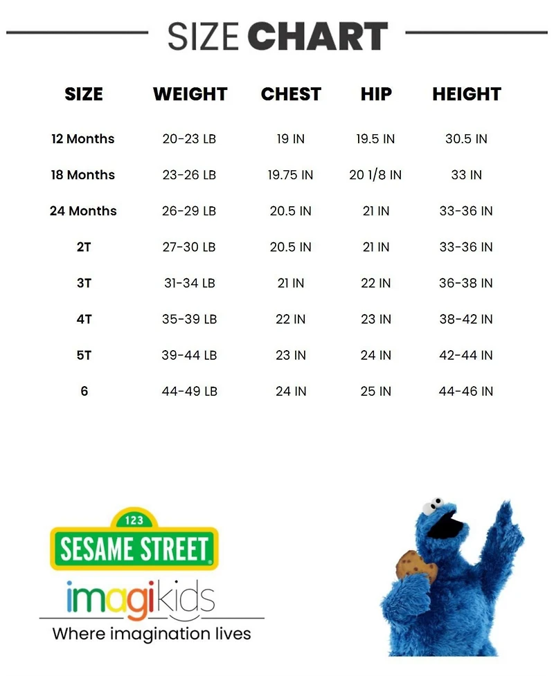 Sesame Street Toddler Boys Fleece Pullover Hoodie