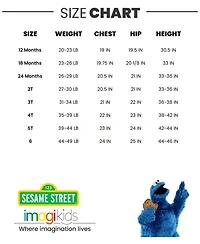 Sesame Street Toddler Boys Fleece Pullover Hoodie