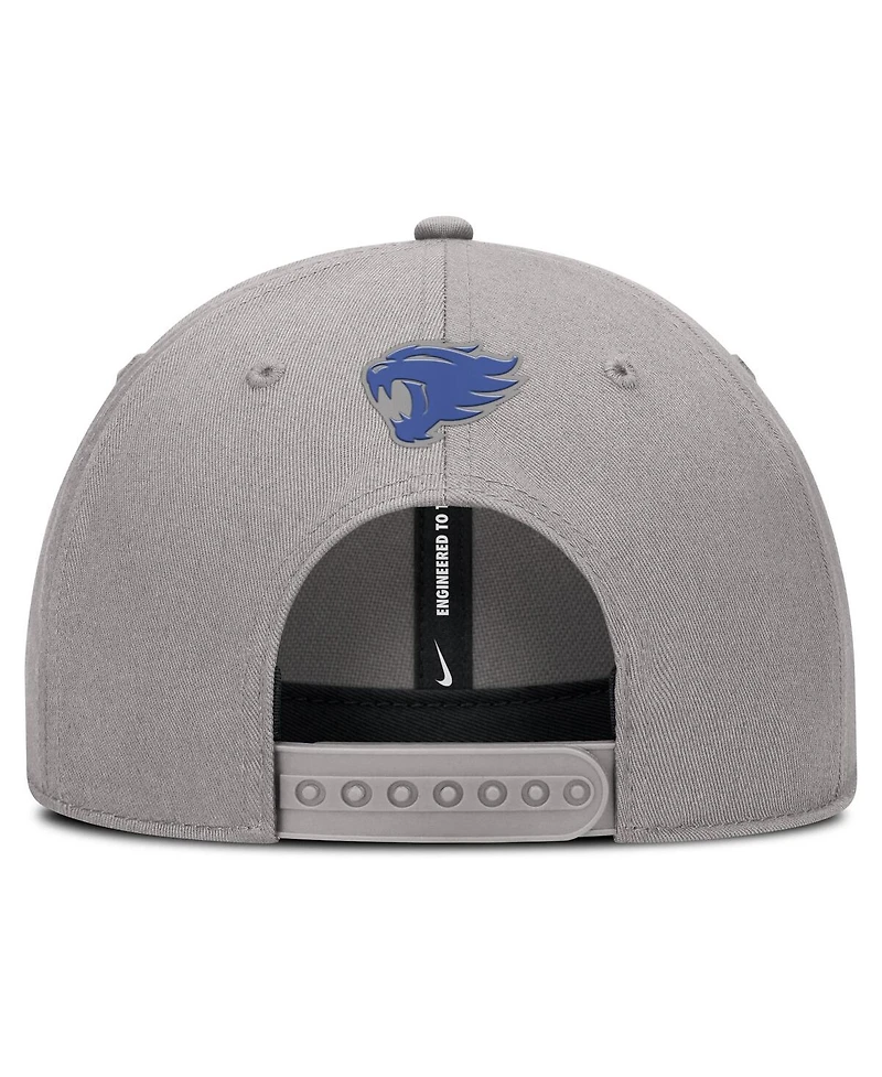 Nike Men's Gray Kentucky Wildcats Rise Practice Adjustable Hat
