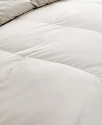 Nikki Chu 250-Thread Count Down Comforter, King - Soft Clay