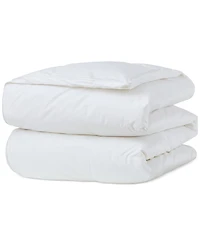 Avocado 600 Fill Power Down Comforter