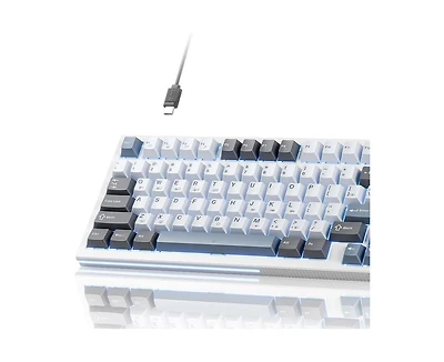 risokeys Mechanical Gaming Keyboard, 98 Keys Led Backlit Programmable, 96% Wired Computer Keyboard with Double Sound Dampening Foam, Pre-lubed Red Swi
