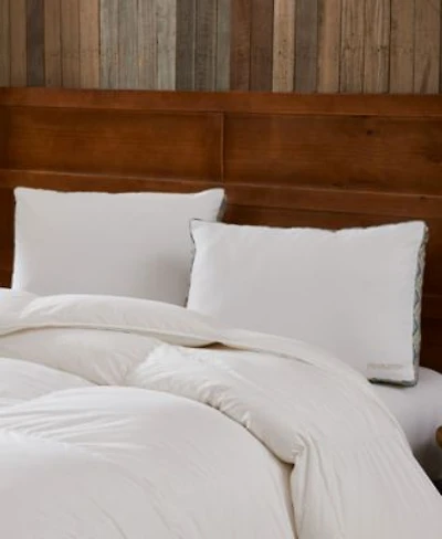 Pendleton Colossal Oxbow 3 Gusseted 2 Pack Pillow