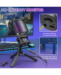 ZealSound Bkd-11 Microphone and D65p Pop Filter