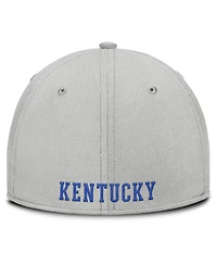 Nike Men's Gray Kentucky Wildcats Rise Practice Performance Adjustable Hat