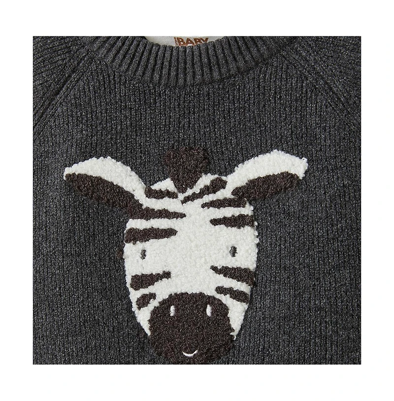 Cotton On Baby Boys Raglan Knit Sweater