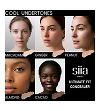 Ultimate Fit Concealer