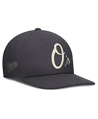 Nike Men's Anthracite Baltimore Orioles Statement Pro Snapback Hat
