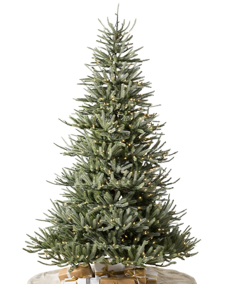 Balsam Hill 6 ft Pre-Lit Sanibel Spruce Tree
