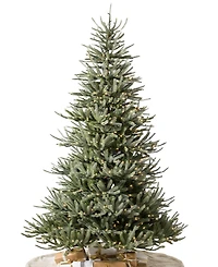 Balsam Hill 6 ft Pre-Lit Sanibel Spruce Tree