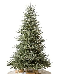 Balsam Hill Sanibel Spruce Tree Collection