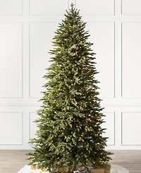 Balsam Hill 6 ft Pre-Lit Silverado Slim Tree