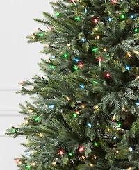 Balsam Hill 7.5 ft Pre-Lit Colorado Mountain Spruce Tree