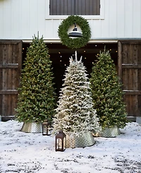 Balsam Hill ft Pre-Lit Fraser Fir Narrow Tree