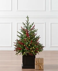 Balsam Hill 4 ft Outdoor Berry Pre-Lit Potted Tree
