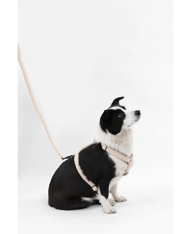Teddy Boucle Adjustable H Harness Leash Walk Set with Poop Bag Pouch