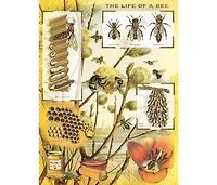 New York Puzzle Company Bees & Honey 1000 Piece Puzzle