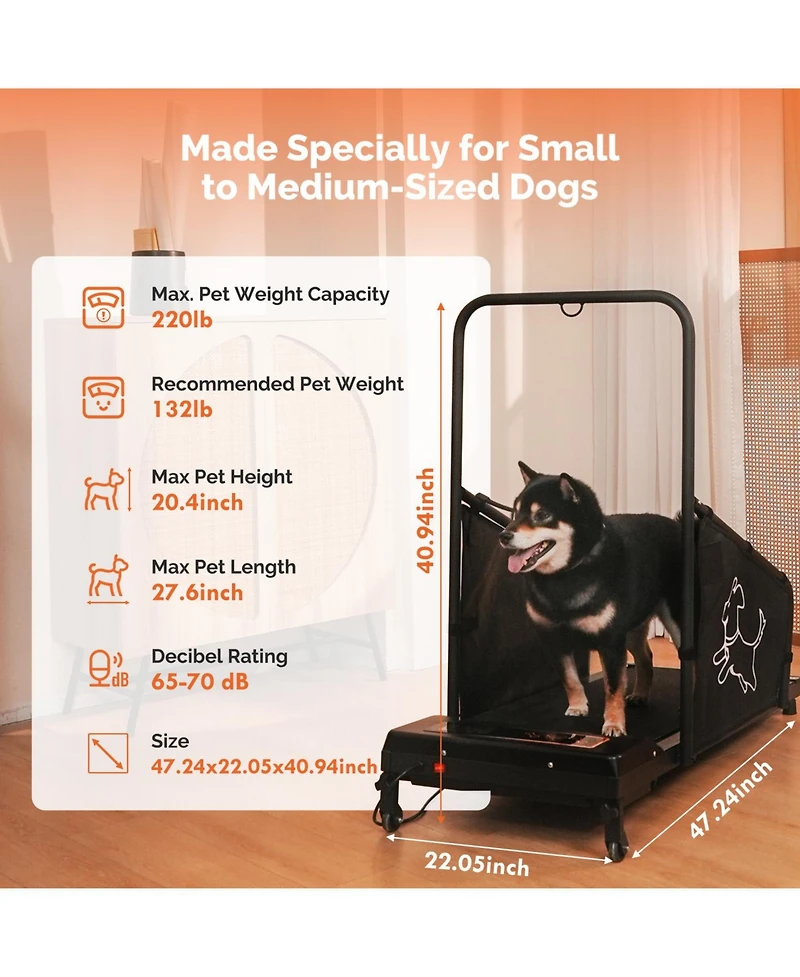 Streamdale Furniture Dog Pacer Treadmill - Medium Dogs