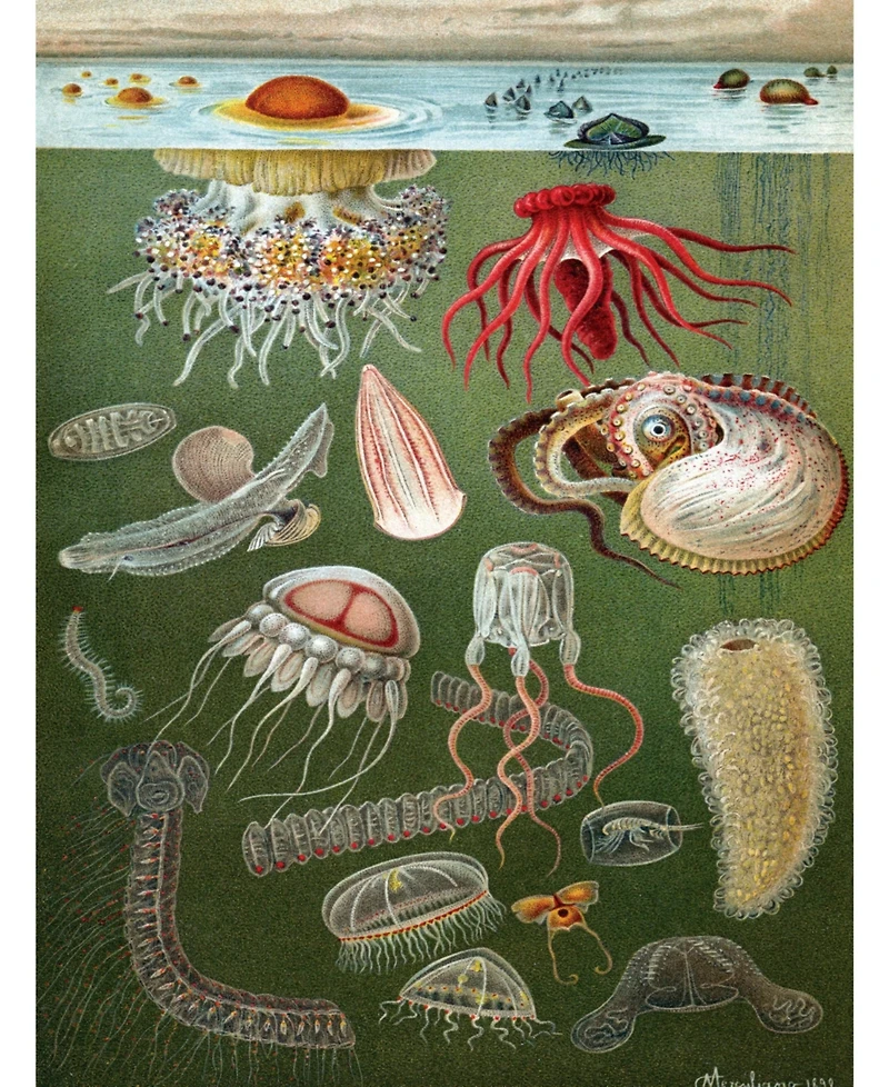 New York Puzzle Company Under the Sea 1000 Piece Puzzle