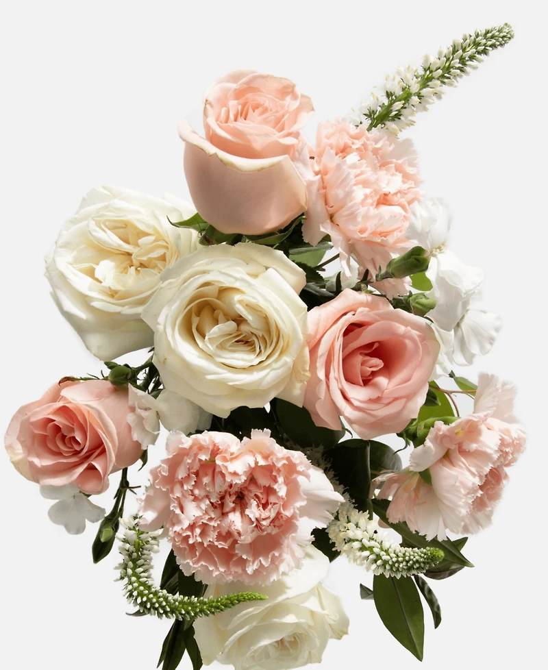 UrbanStems The Sorbet Fresh Flower Bouquet