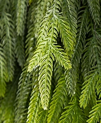 Glitzhome 31.5" Greenery Polyethylene Christmas Dripping Teardrop