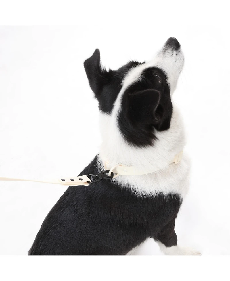 The Licker Store, Luna 8FT Adjustable 6-in-1 Waterproof Hands-Free Leash and Collar with Led Flashlight, Bag Dispenser