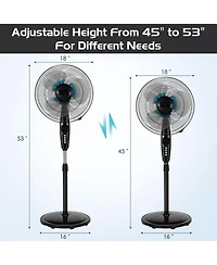 Adjustable Height Oscillating Fan with Quiet Operation for Home or Office Use