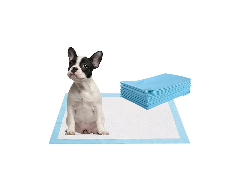 Akiudex 200 pieces 24 x 24 inch pet wee piddle pad