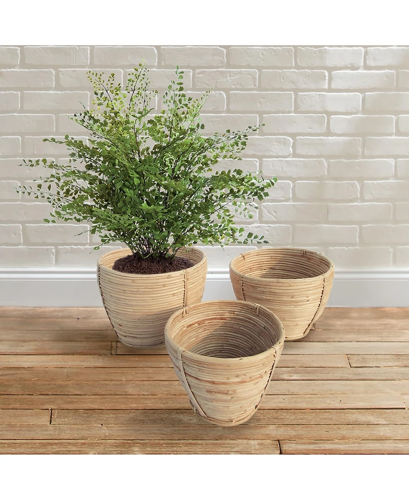 Napa Home & Garden Cane Rattan Round Tapered Baskets, Set Of 3