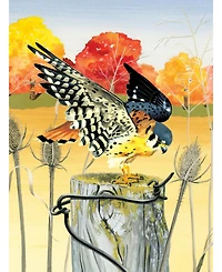 New York Puzzle Company American Kestrel 1000 Piece Puzzle