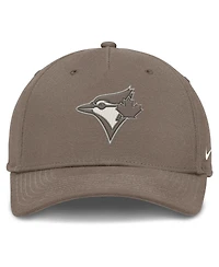 Nike Men's Brown Toronto Blue Jays Rise Performance Adjustable Hat
