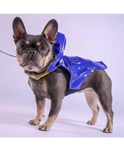 Tommy Bahama Pet Raincoat Apparel Harness Blue