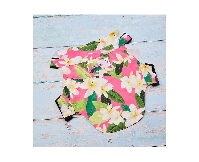 Tommy Bahama Pet Hawaiian Shirt & Apparel Harness