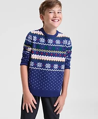 Holiday Lane Boys Fair Isle Sweater, Macy's Exclusive