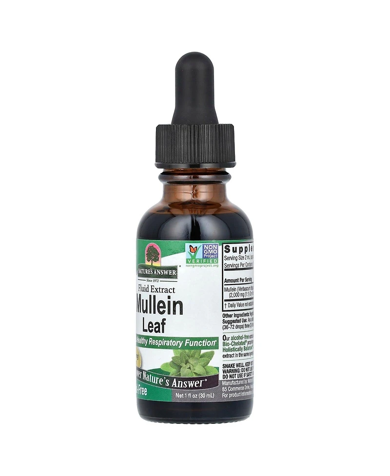 Nature's Answer Mullein Leaf Fluid Extract Alcohol-Free 2 000 mg - 1 fl oz (30 ml)