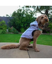 K9 Wear Starter Kit with Grey Hoodie